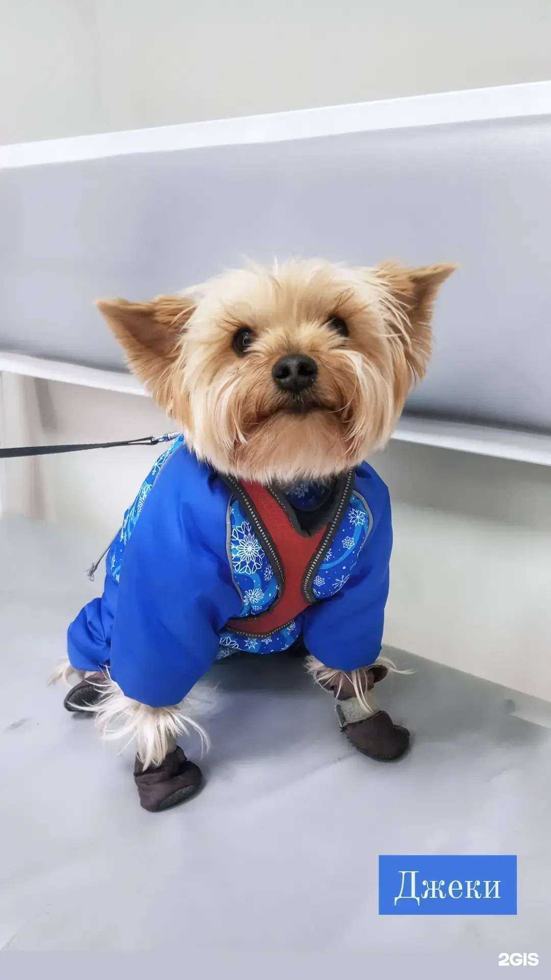 Отзывы на компанию Асвет в г. Бийск c фото