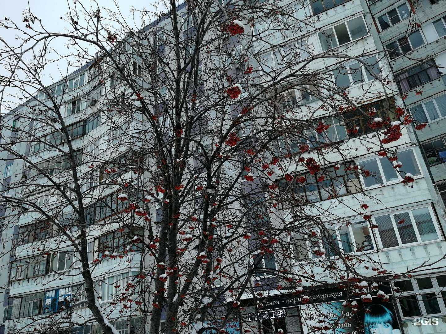 Отзывы на компанию Тотал в Пензе c фото - фотография 2 из 2