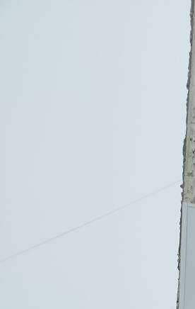 Отзывы на компанию Все для животных в Нижнем Тагиле c фото