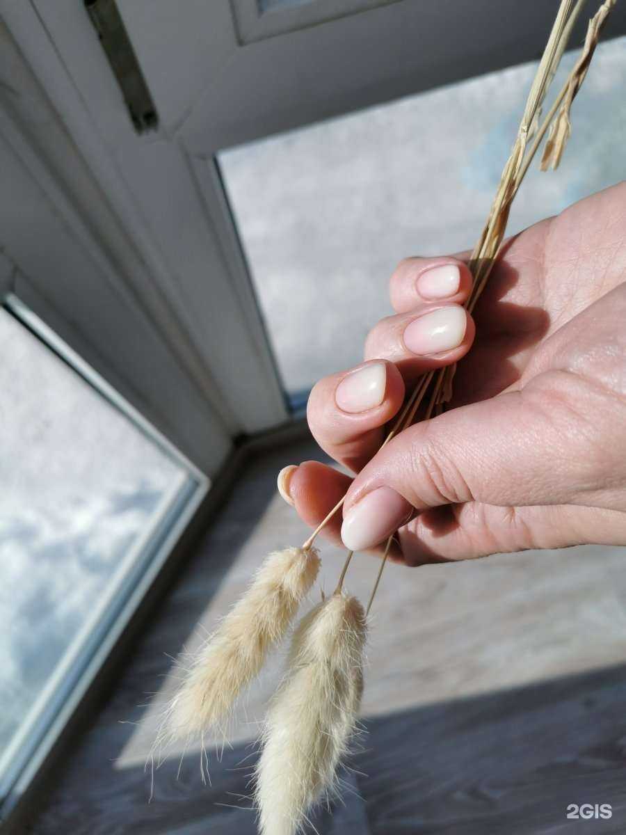 Отзывы на компанию My Nail`s в Томске c фото