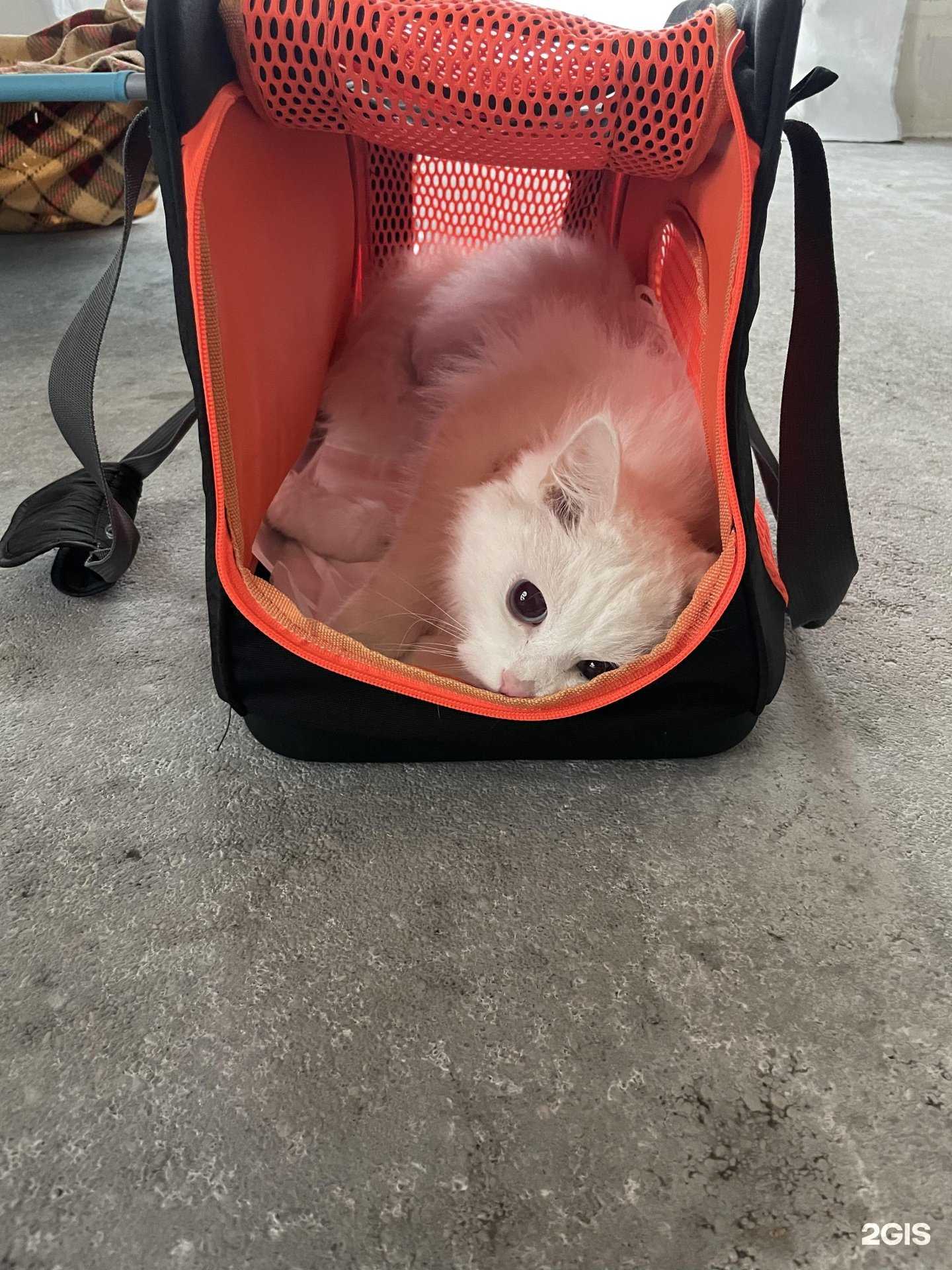 Отзывы на компанию Ваш доктор в г. Калининград c фото