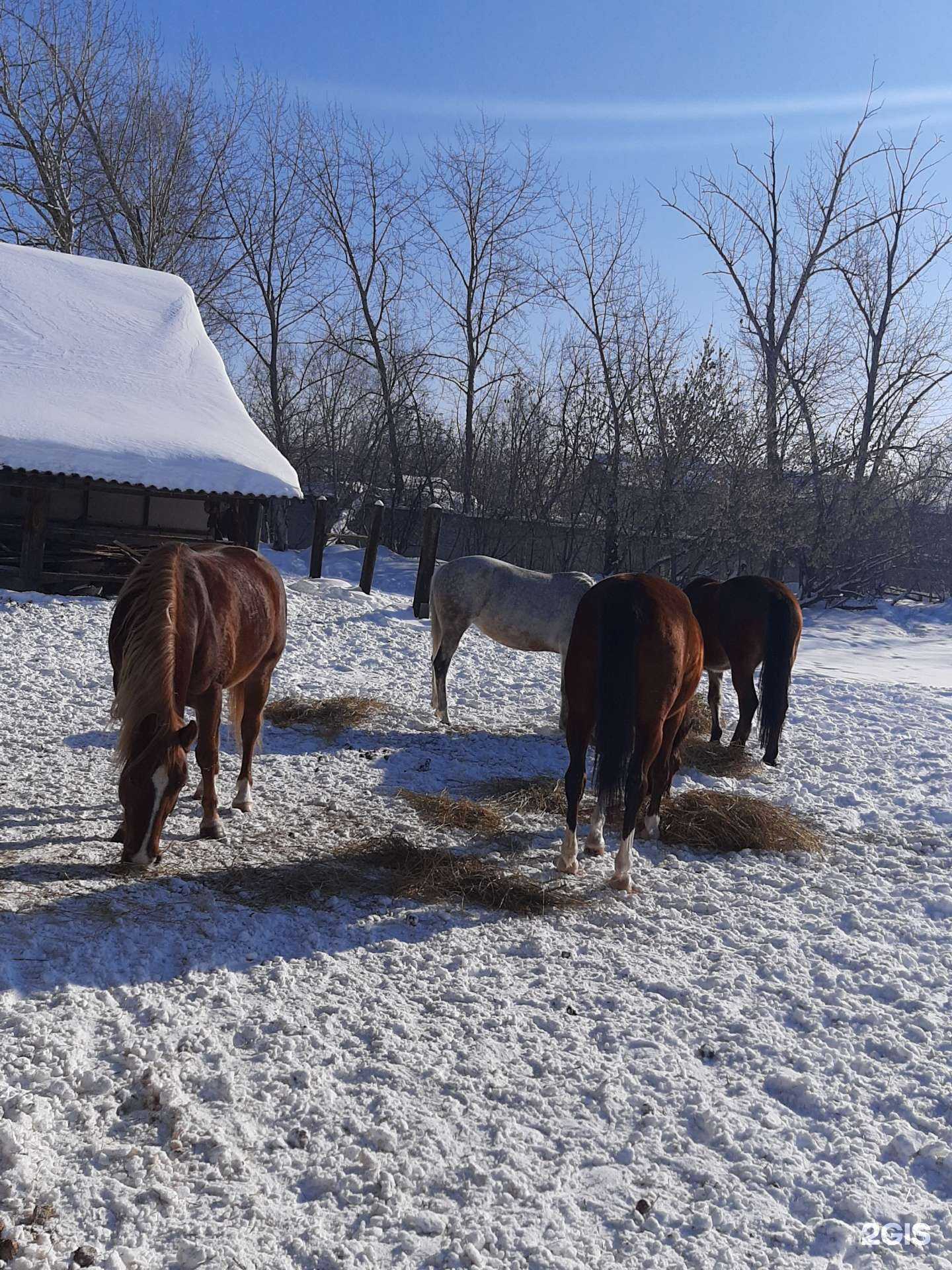 Отзывы на компанию Пассаж в Зеленодольске c фото