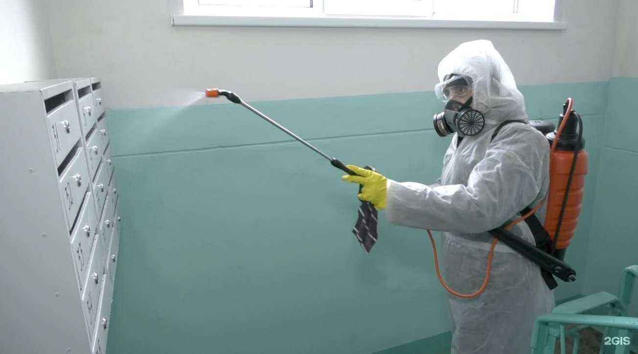 Отзывы на компанию ДезКонтроль в Сочи c фото