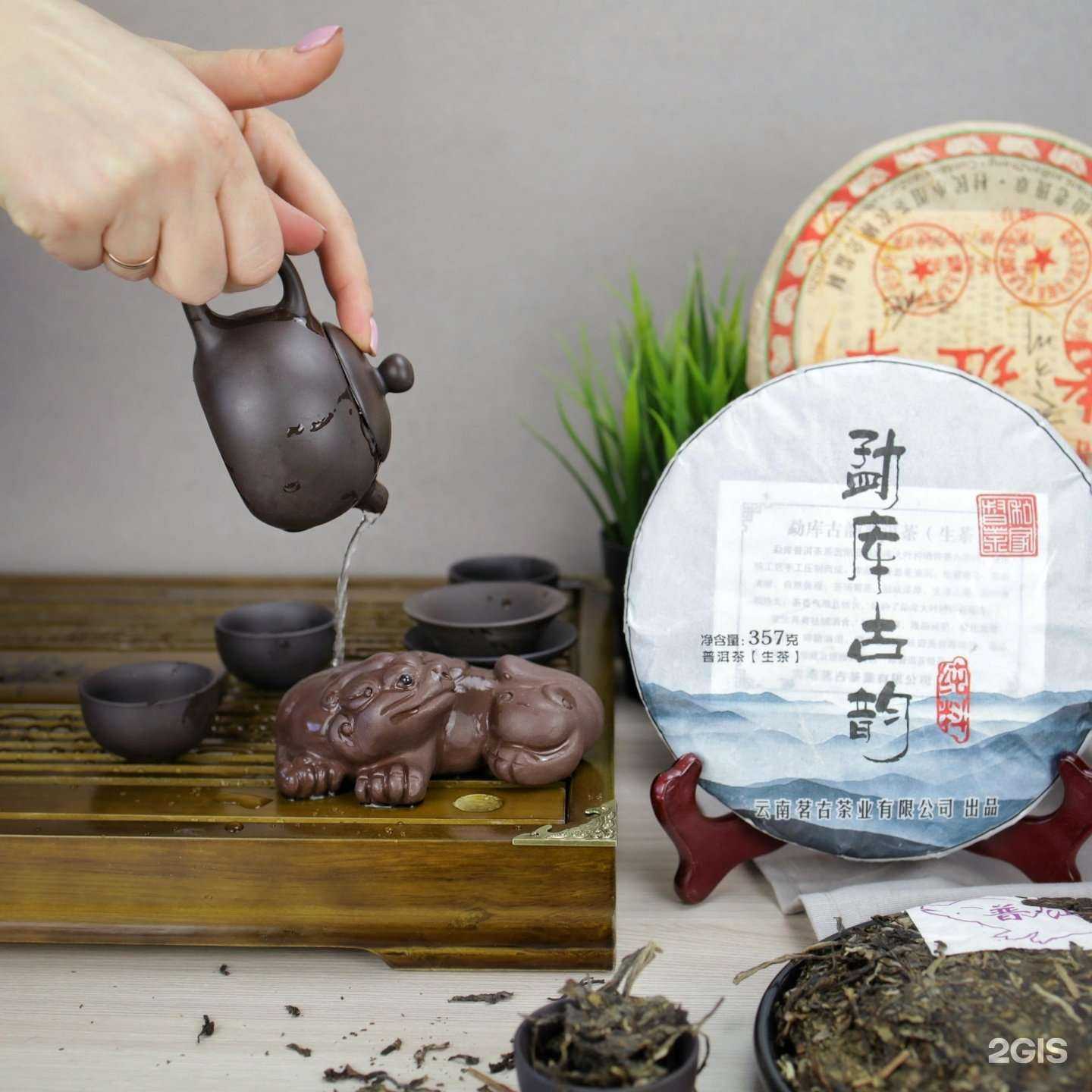 Отзывы на компанию TeaBet в г. Петропавловск-Камчатский c фото