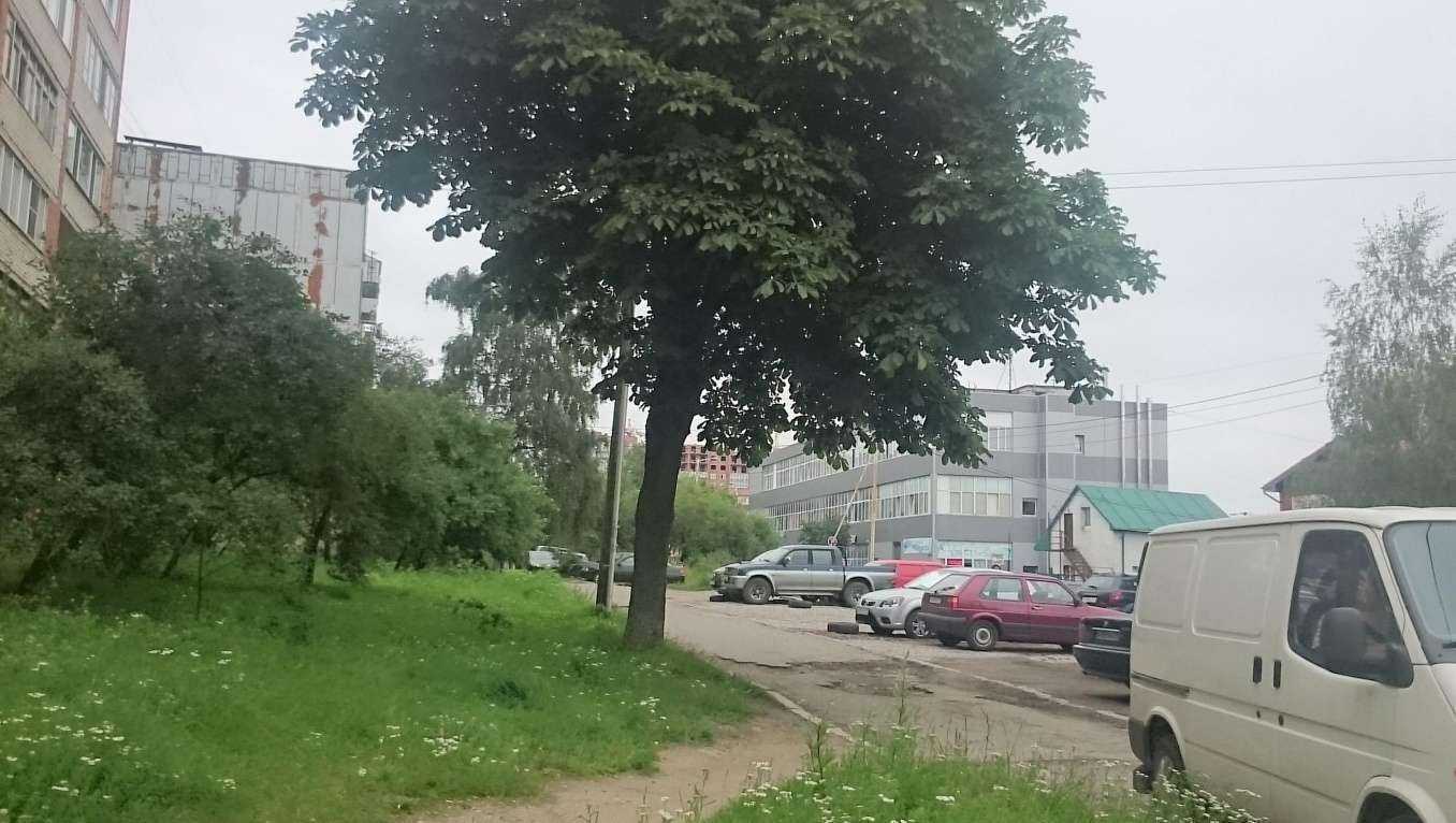 Отзывы на компанию Bubble gum в Калининграде c фото - фотография 2 из 2