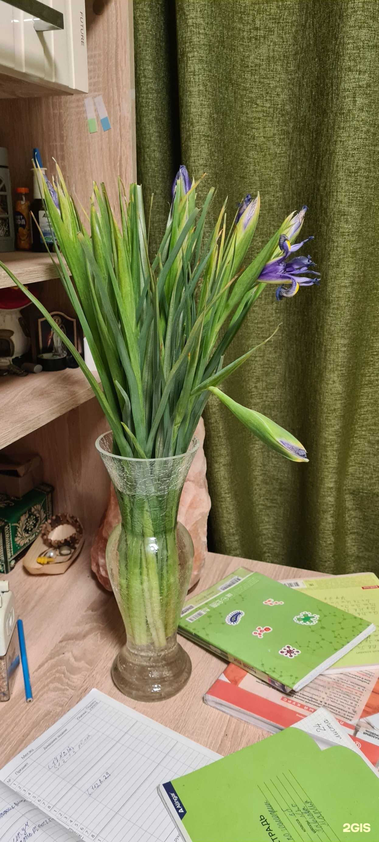 Отзывы на компанию Семь цветов в Сургуте c фото