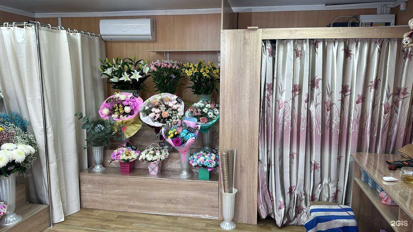 Отзывы на компанию Exotic.42 в Новокузнецке c фото