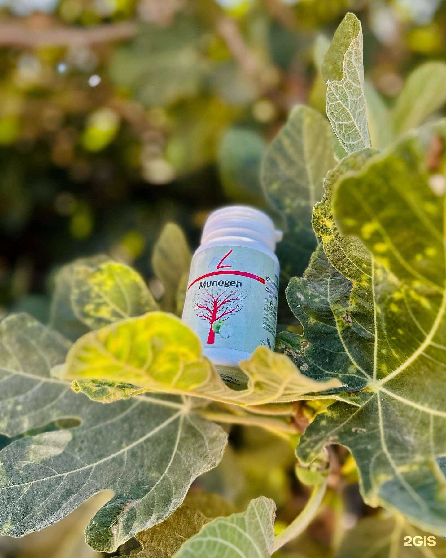 Отзывы на компанию Pm international в г. Коломна c фото