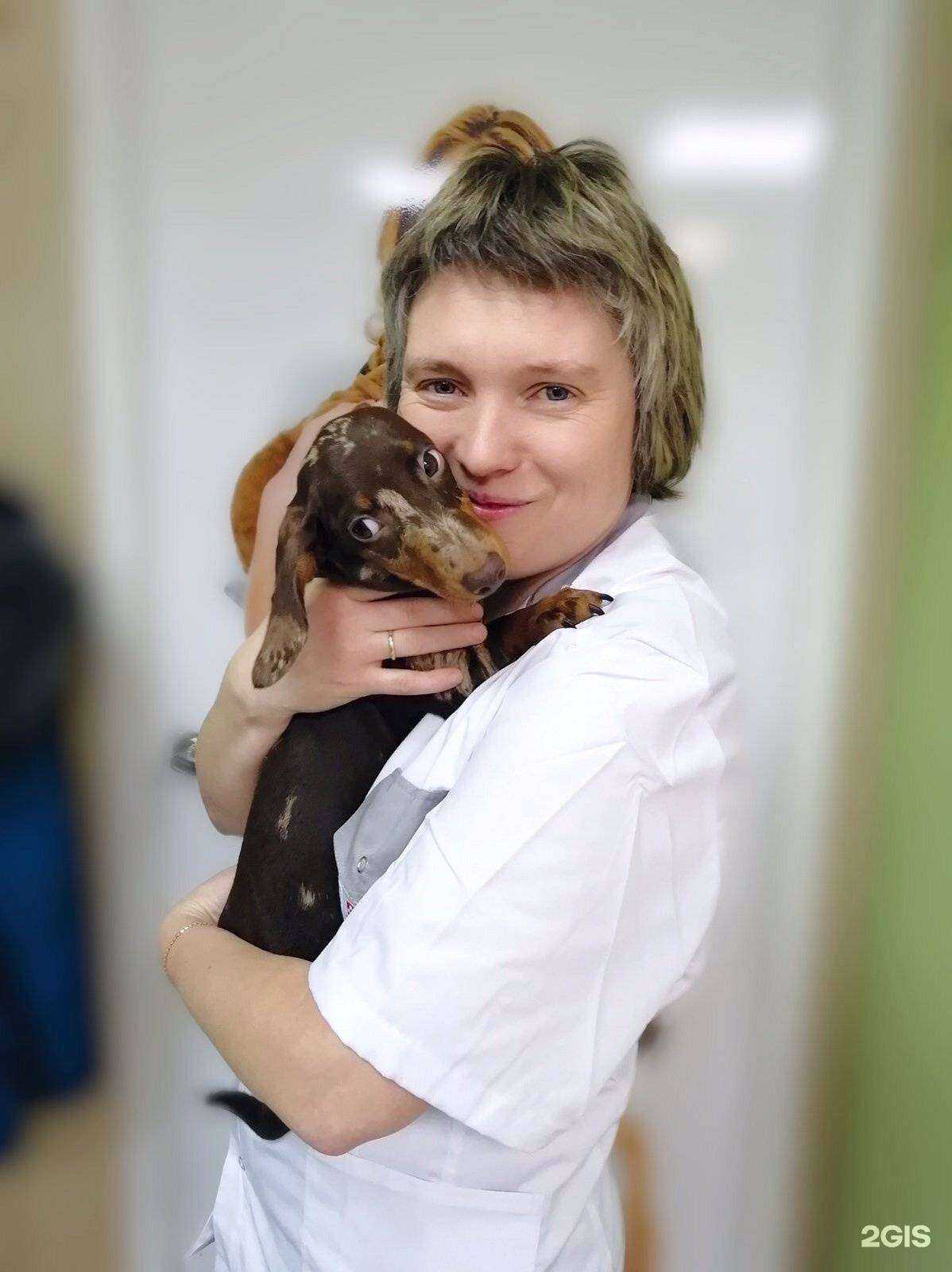 Отзывы на компанию Кот Матроскин в Нижнем Новгороде c фото