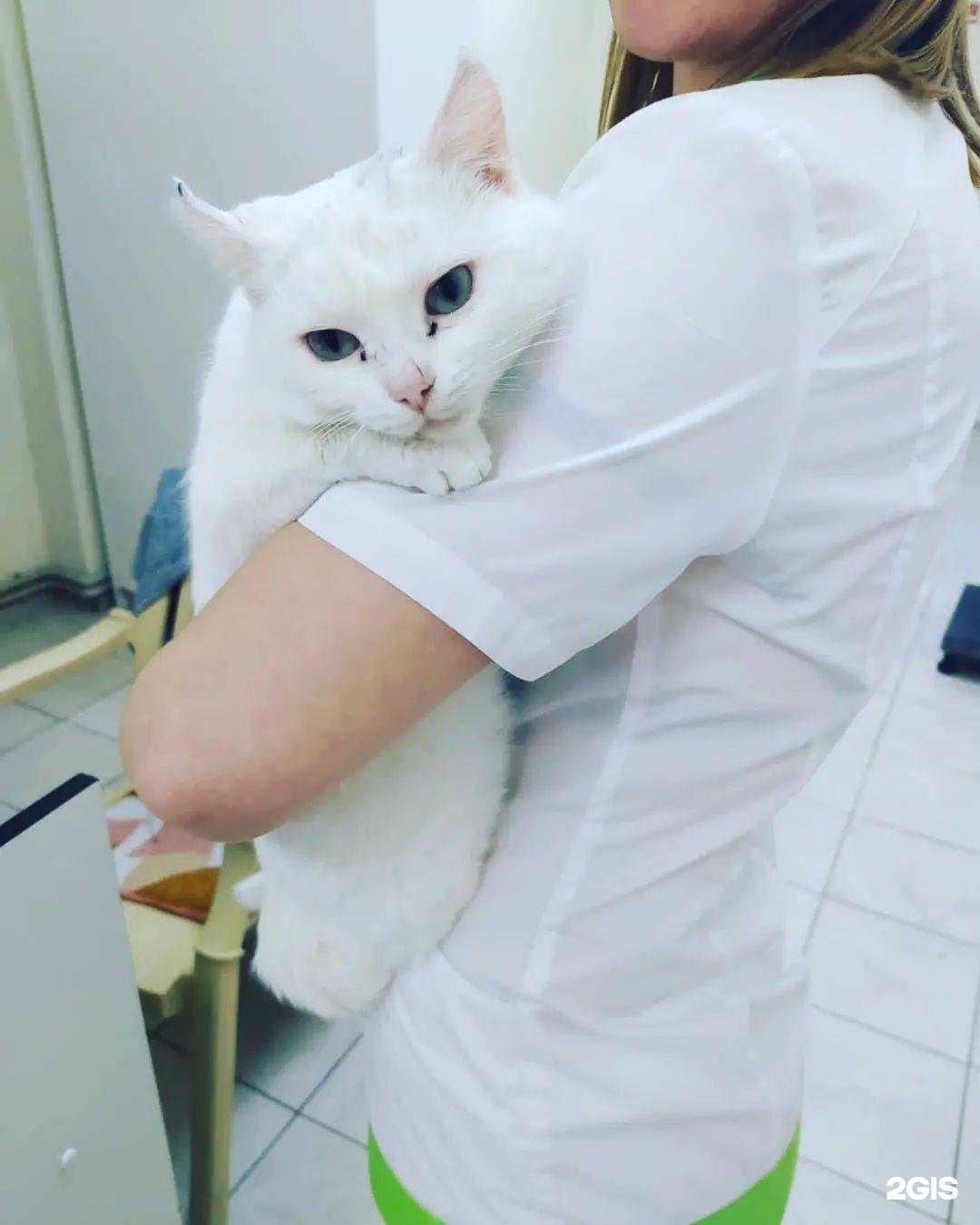 Отзывы на компанию Добровет в г. Темрюк c фото