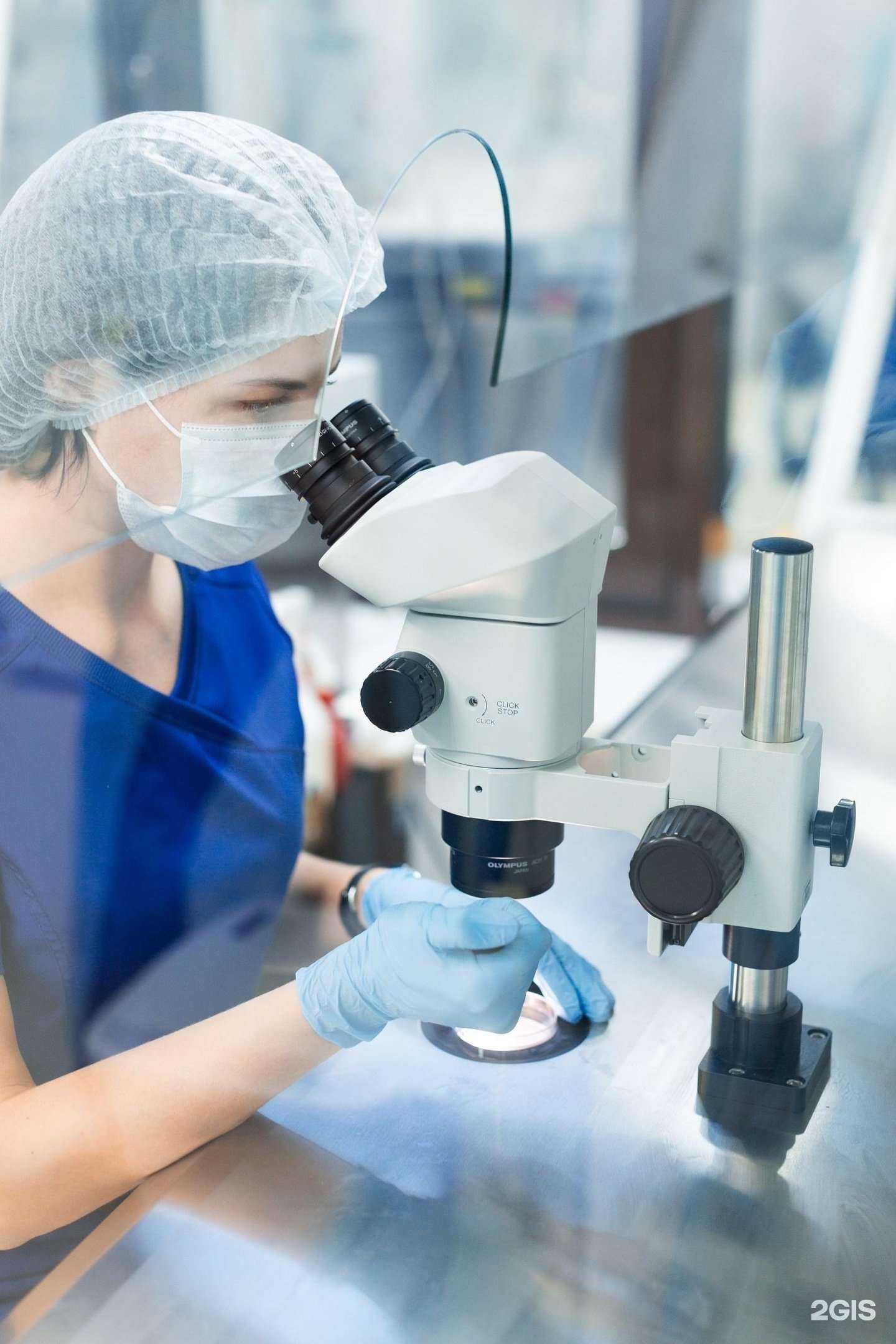 Отзывы на компанию Эмбрио в Сочи c фото