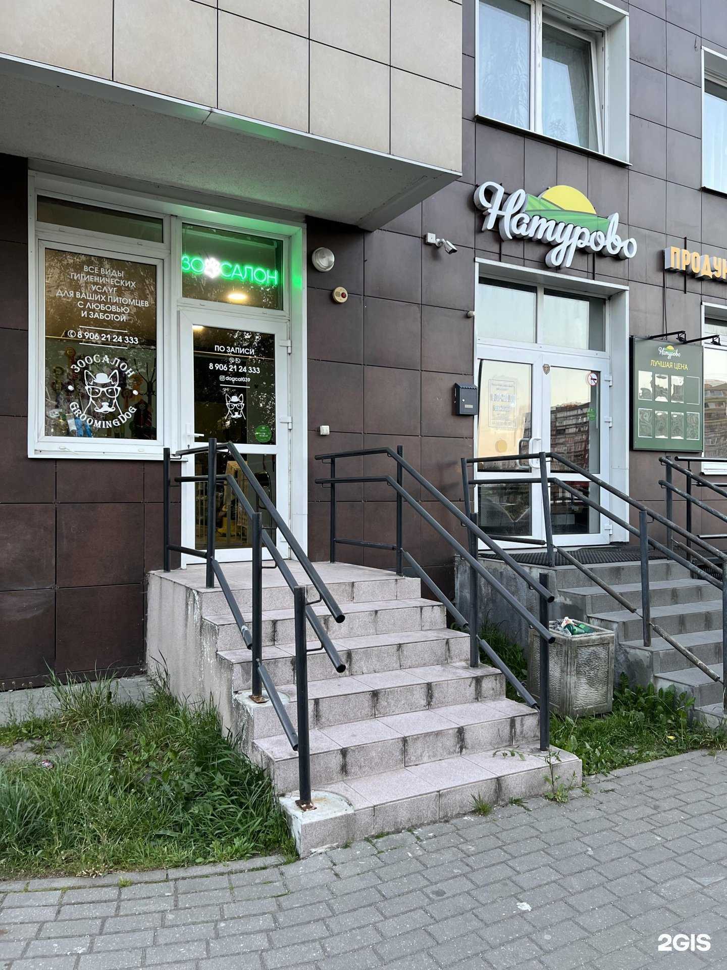 Отзывы на компанию Grooming Dog в г. Калининград c фото