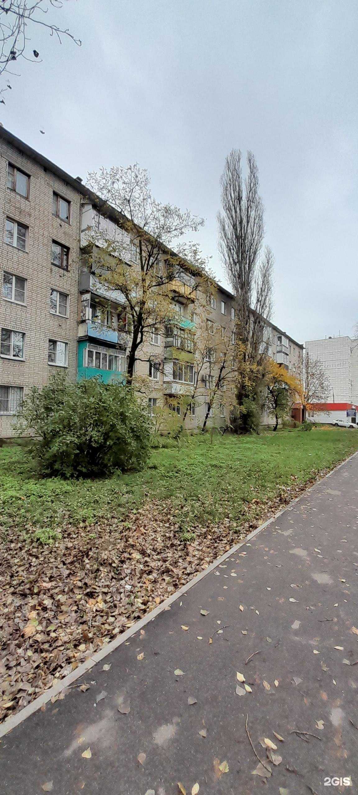 Отзывы на компанию Парикмахерская в Воронеже c фото - фотография 2 из 2