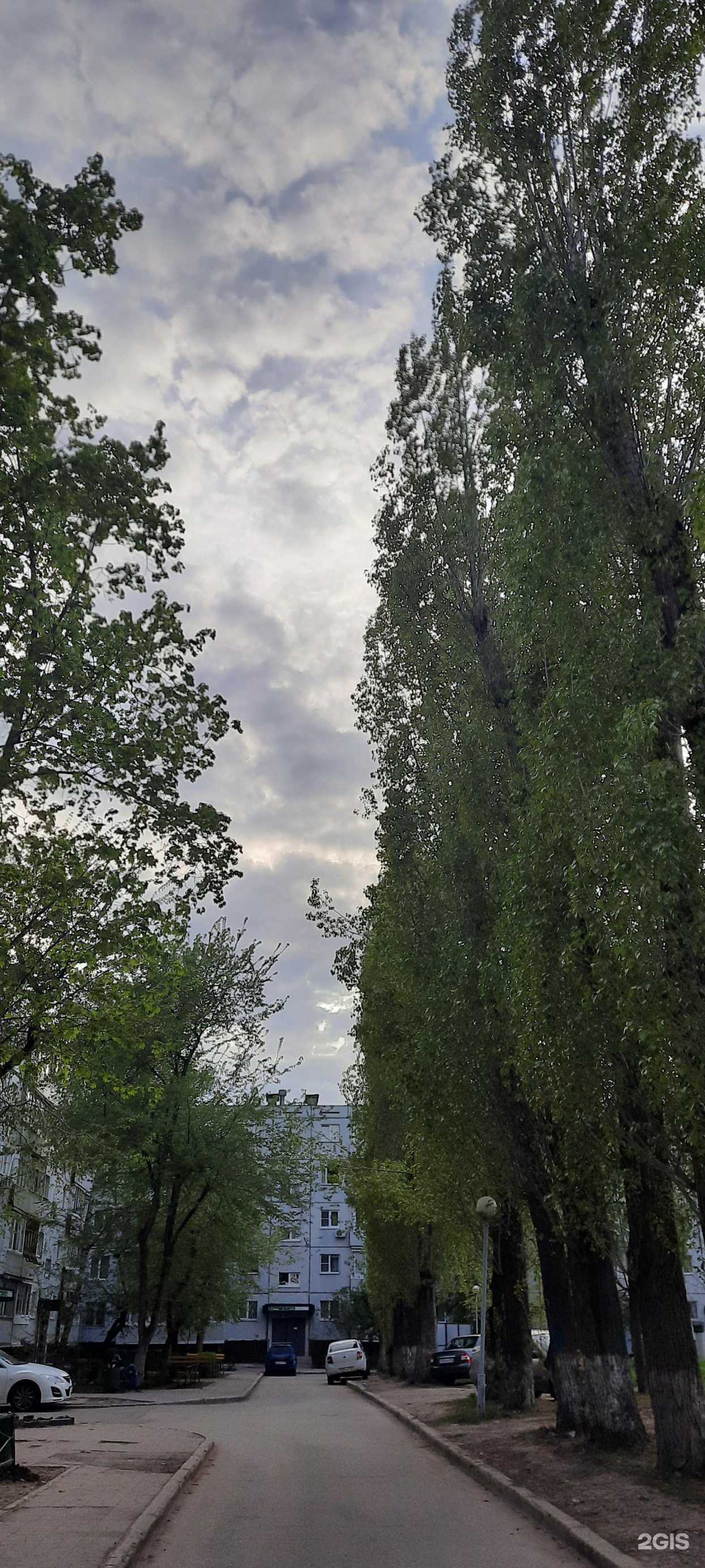 Отзывы на компанию Новая Клиника в Тольятти c фото - фотография 2 из 2