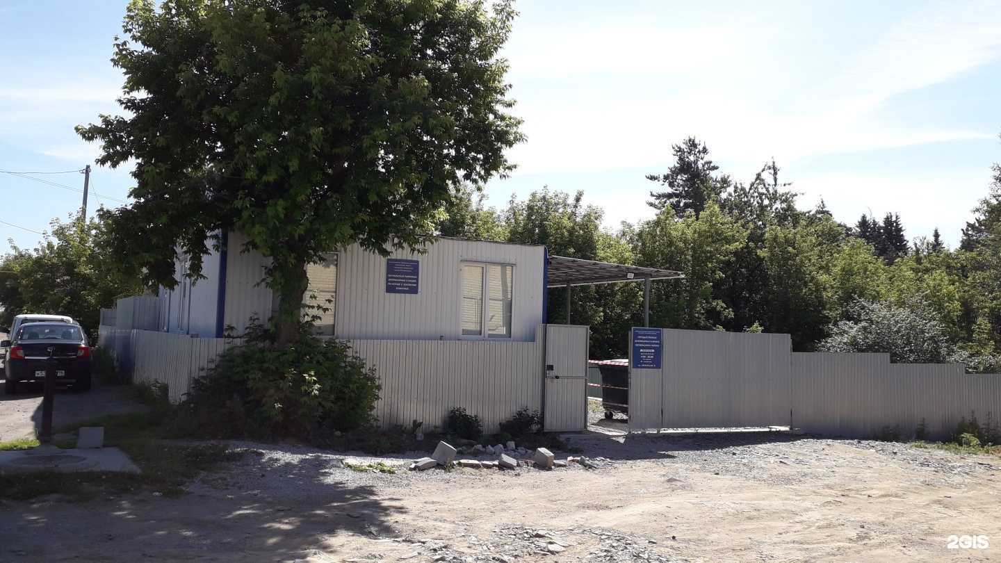 Отзывы на компанию Управление ветеринарии Екатеринбурга в г. Екатеринбург c фото