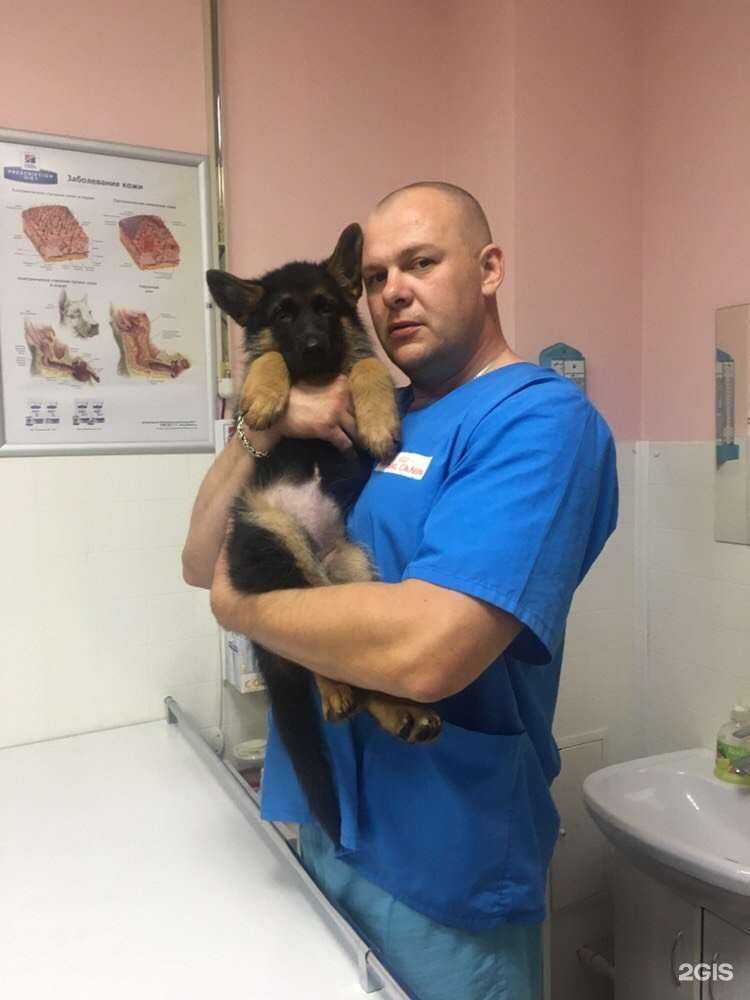 Отзывы на компанию Белый медведь в Тюмени c фото