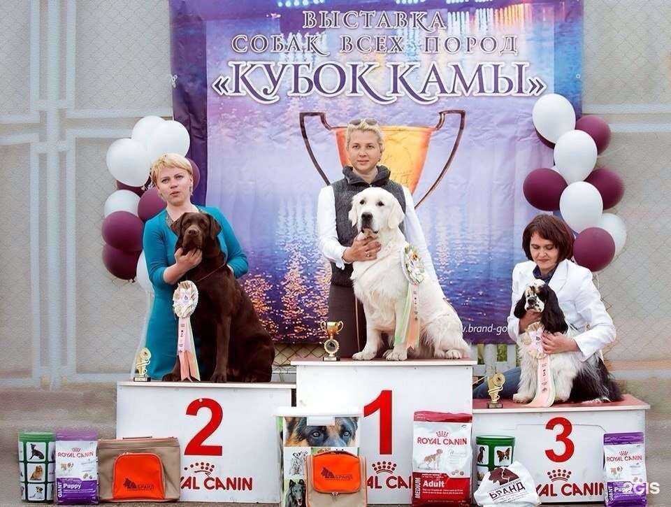 Отзывы на компанию Бранд в Перми c фото