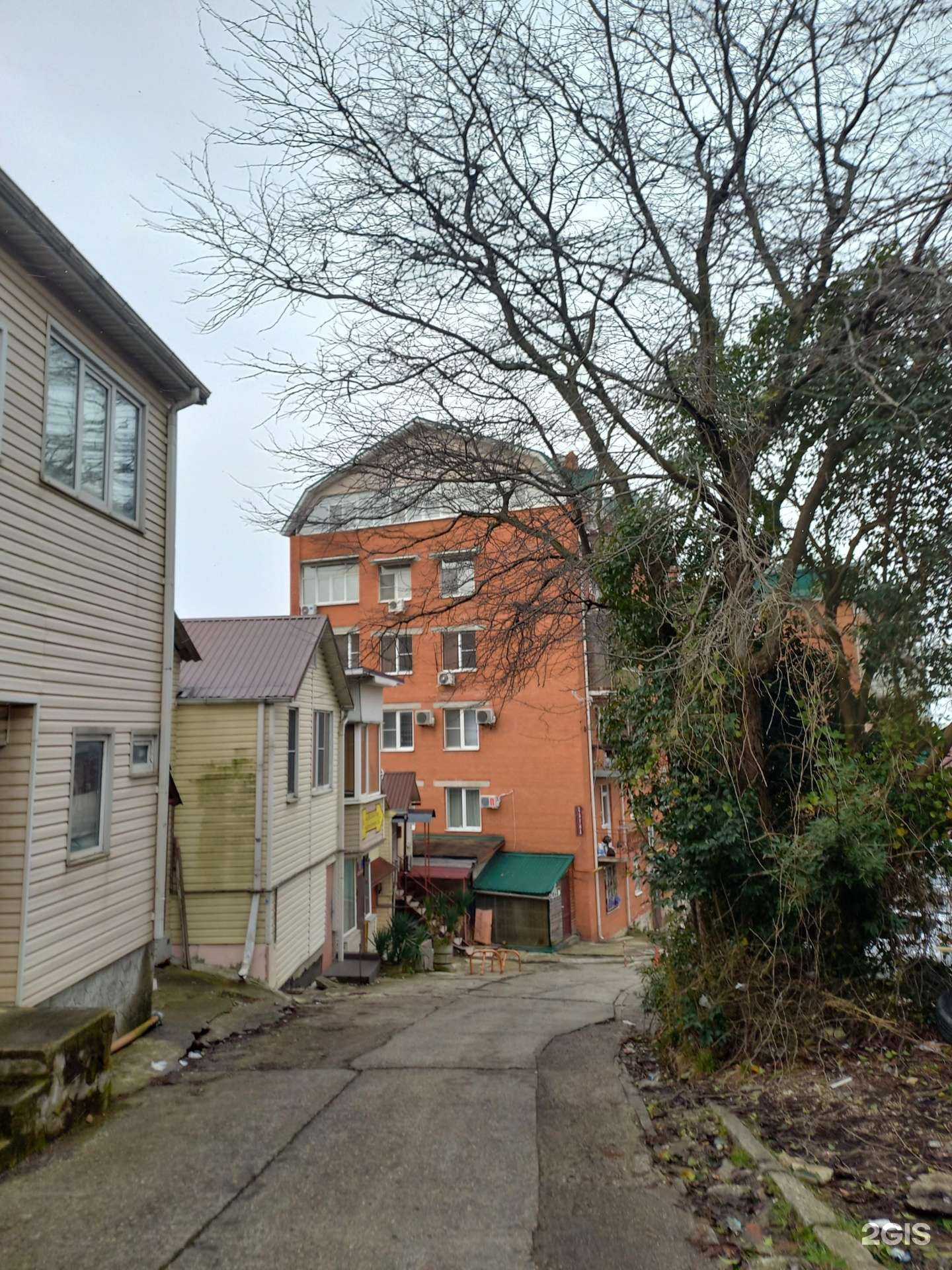 Отзывы на компанию Семейная в Сочи c фото - фотография 2 из 2