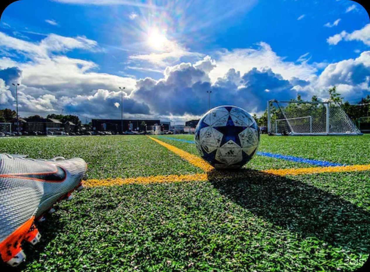 Отзывы на компанию Я Чемпион в Красноярске c фото