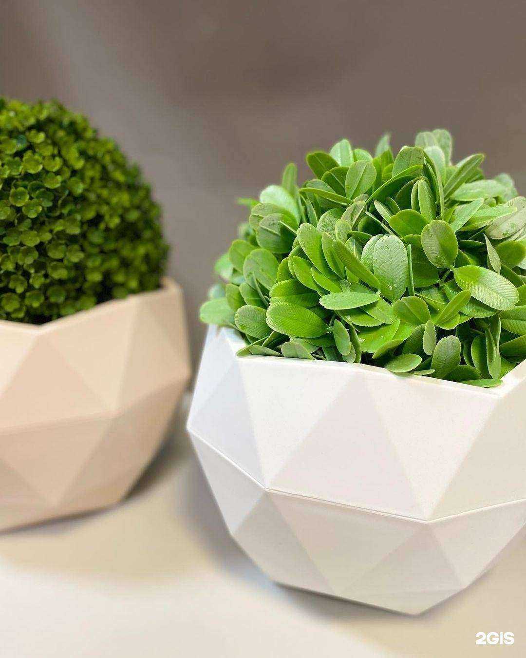 Отзывы на компанию Элер в Чите c фото