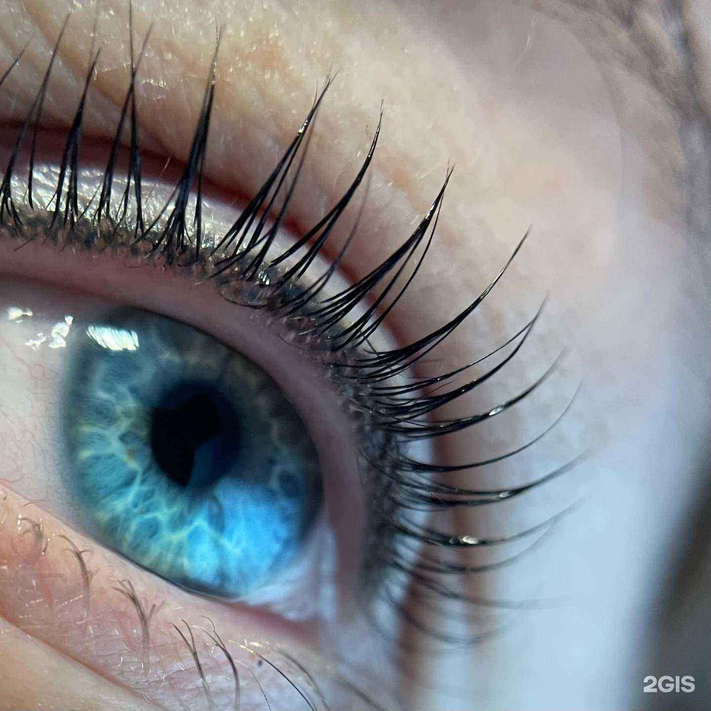 Отзывы на компанию Кабинет ламинирования ресниц и оформления бровей в Краснодаре c фото