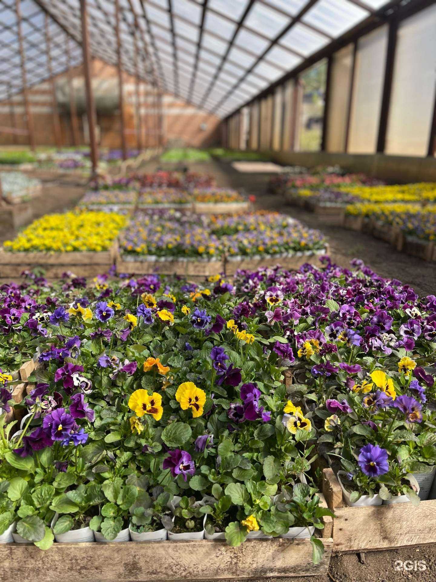 Отзывы на компанию Поляна в Чите c фото