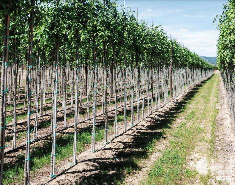 Отзывы на компанию ОтВод в Краснодаре c фото