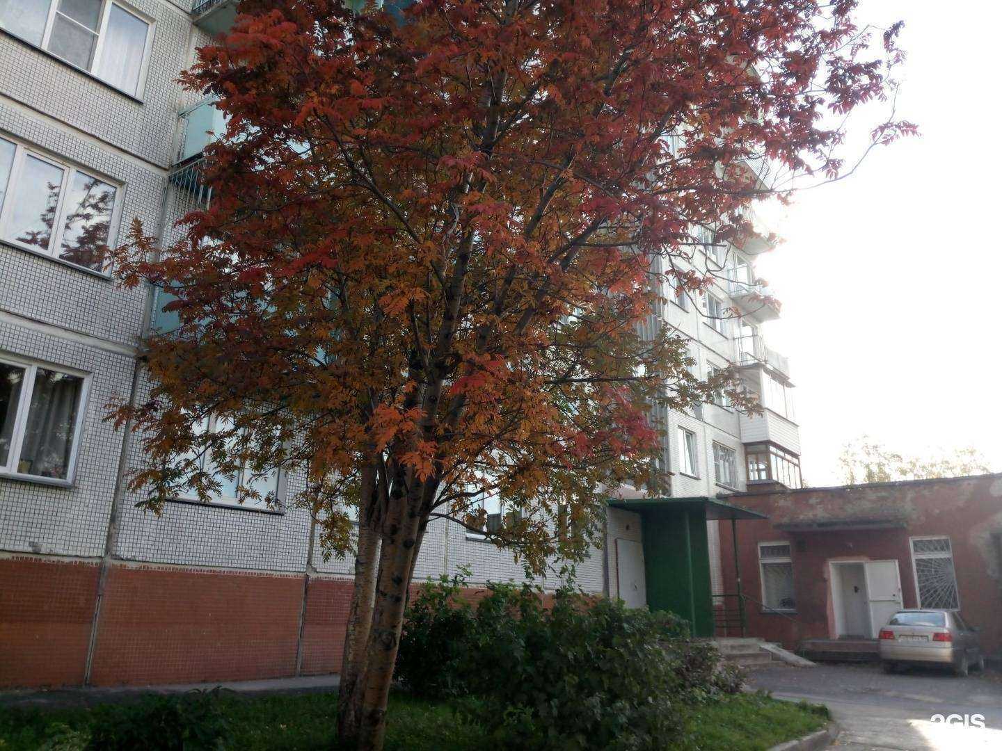 Отзывы на компанию Экона в Новосибирске c фото - фотография 2 из 2