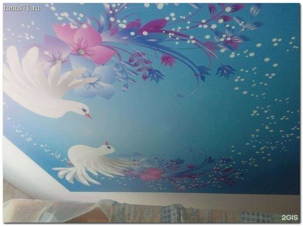 Отзывы на компанию Тонус71 в г. Новомосковск c фото