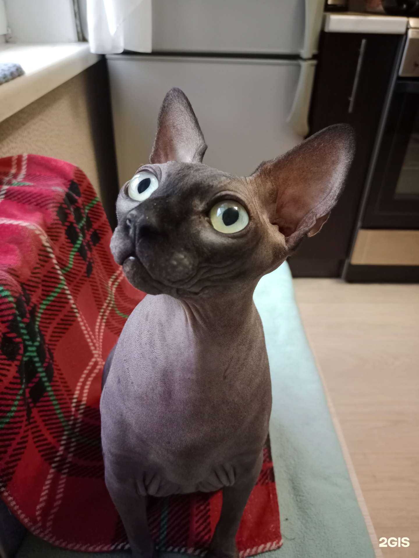 Отзывы на компанию Вега в г. Барнаул c фото