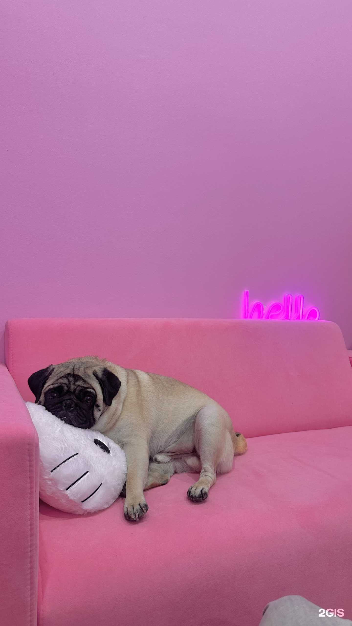 Отзывы на компанию lash_kop в г. Новосибирск c фото