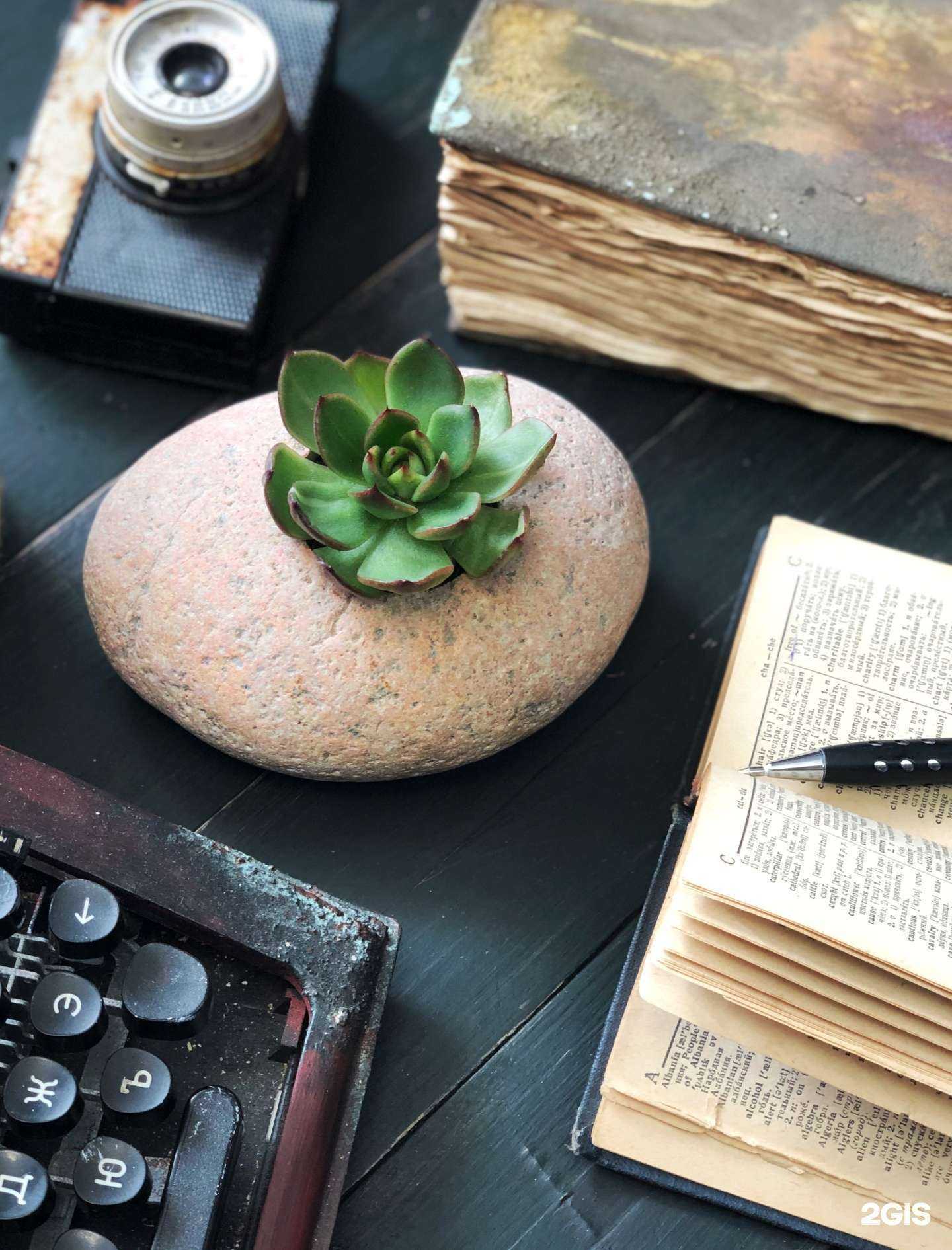 Отзывы на компанию Green.mosaic в Владивостоке c фото