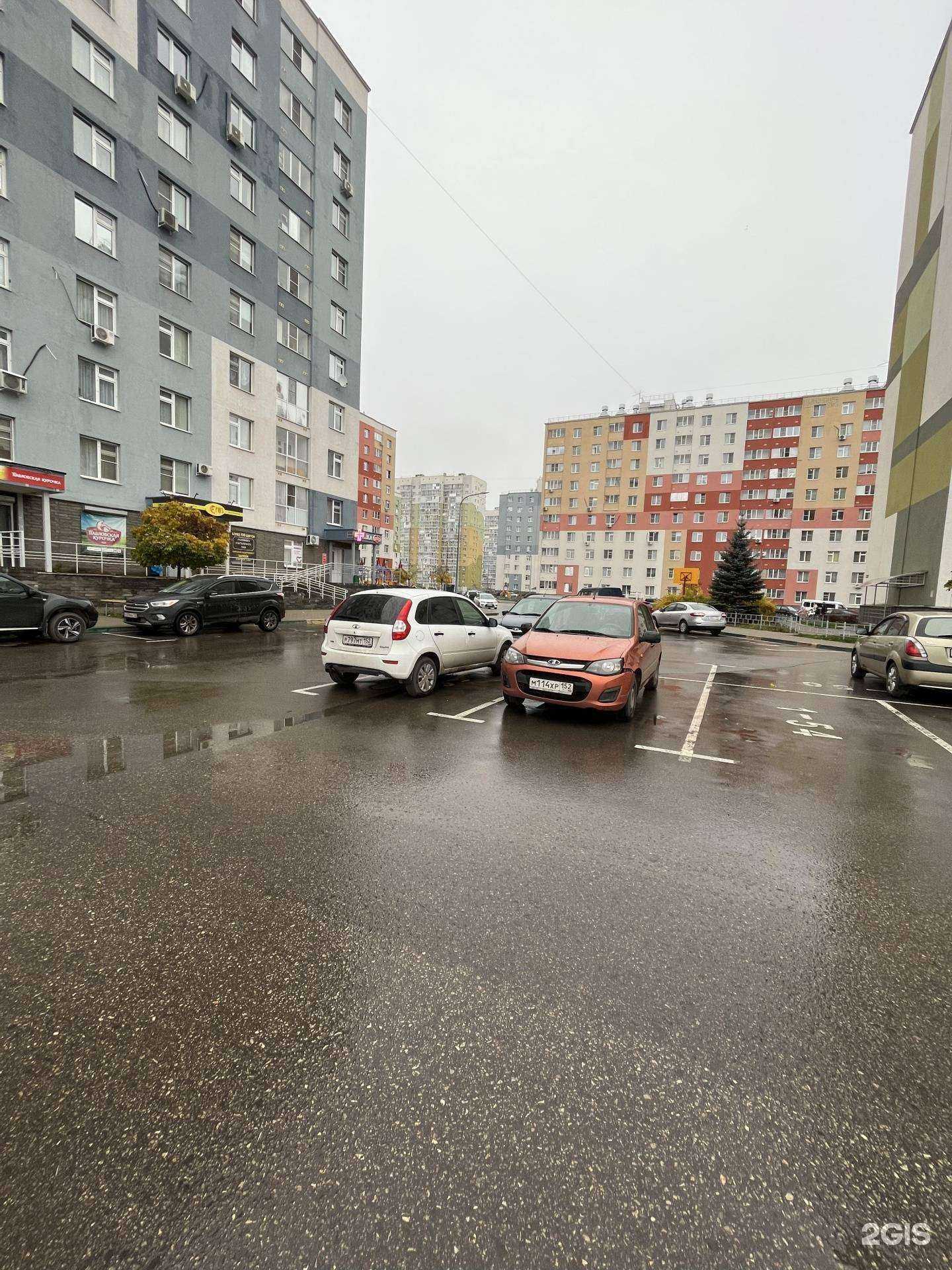 Отзывы на компанию Максавит в Нижнем Новгороде c фото