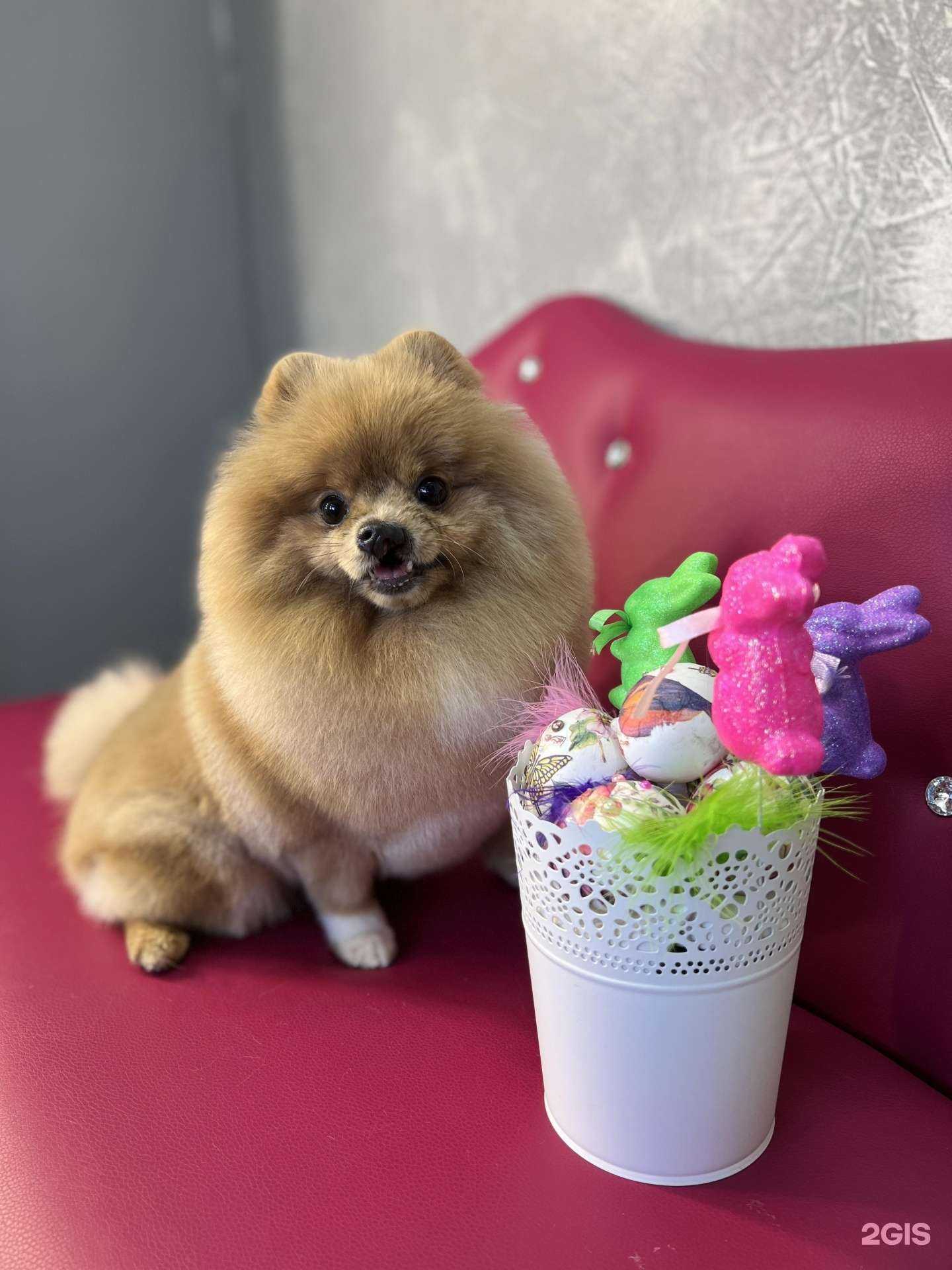 Отзывы на компанию Graff Gaf в Казани c фото