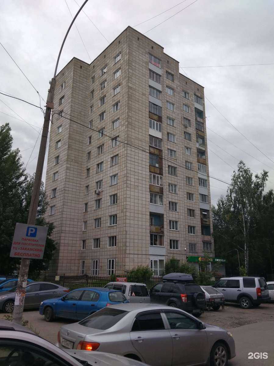 Отзывы на компанию Лапы и Ко в Перми c фото - фотография 2 из 2