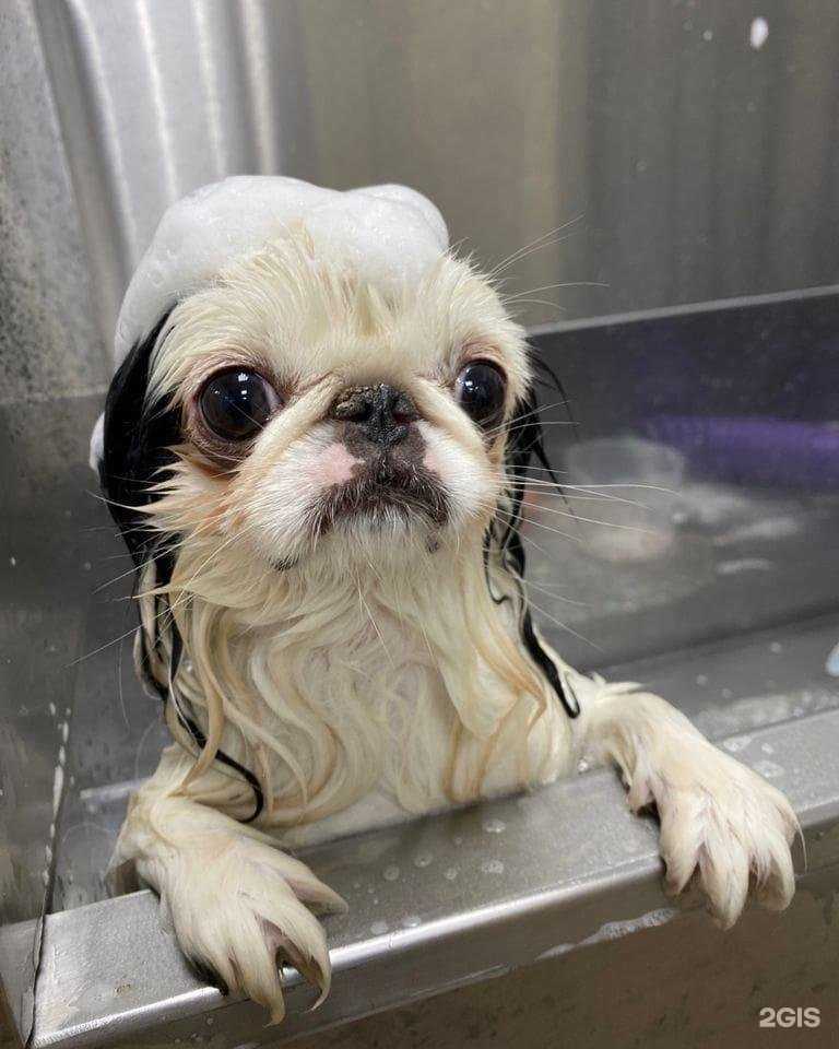 Отзывы на компанию Un Momento в Курске c фото