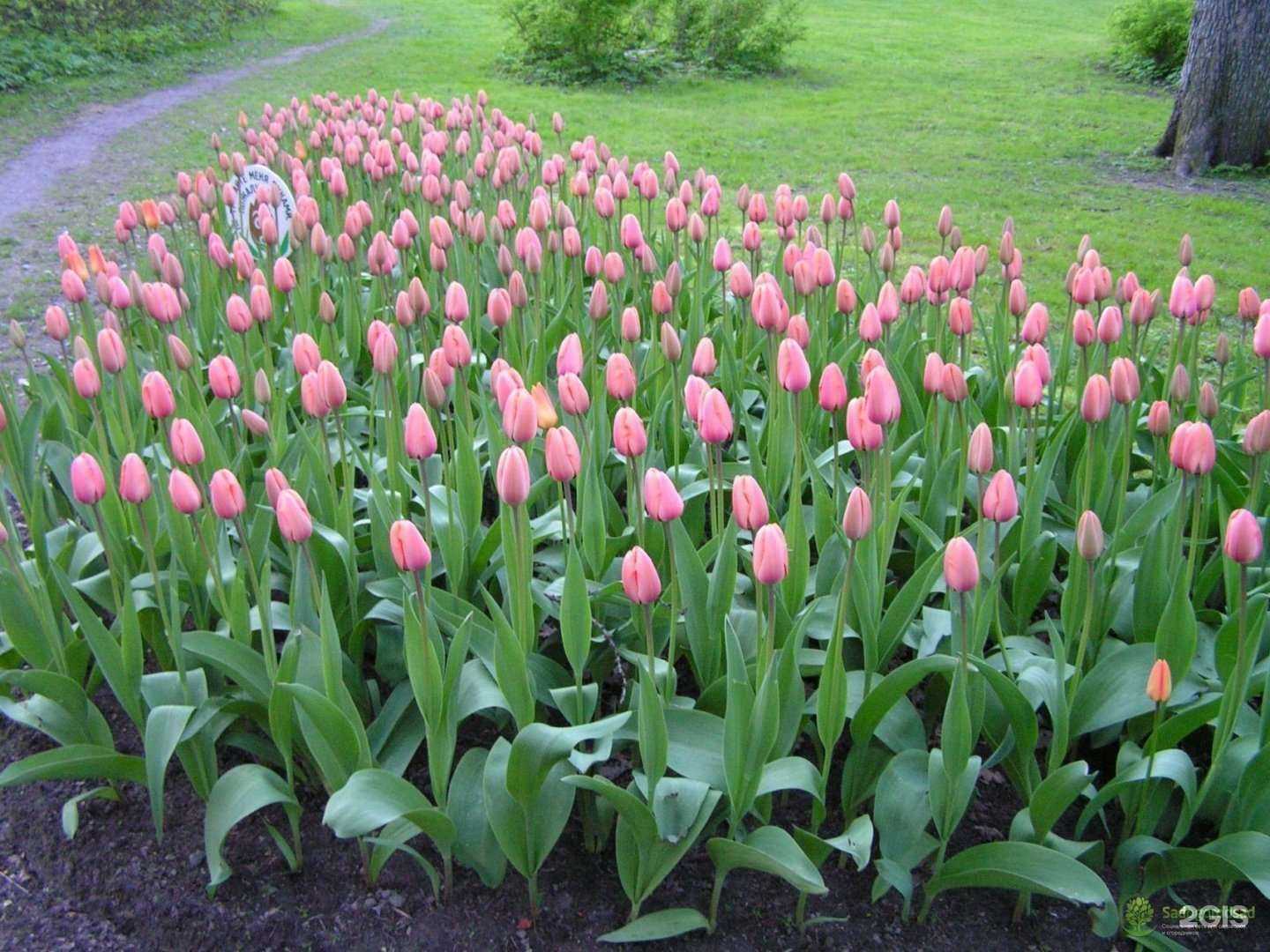 Отзывы на компанию Агромир в Тольятти c фото