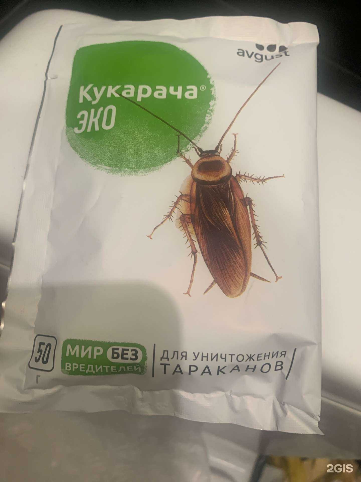 Отзывы на компанию Дезсервис в Якутске c фото