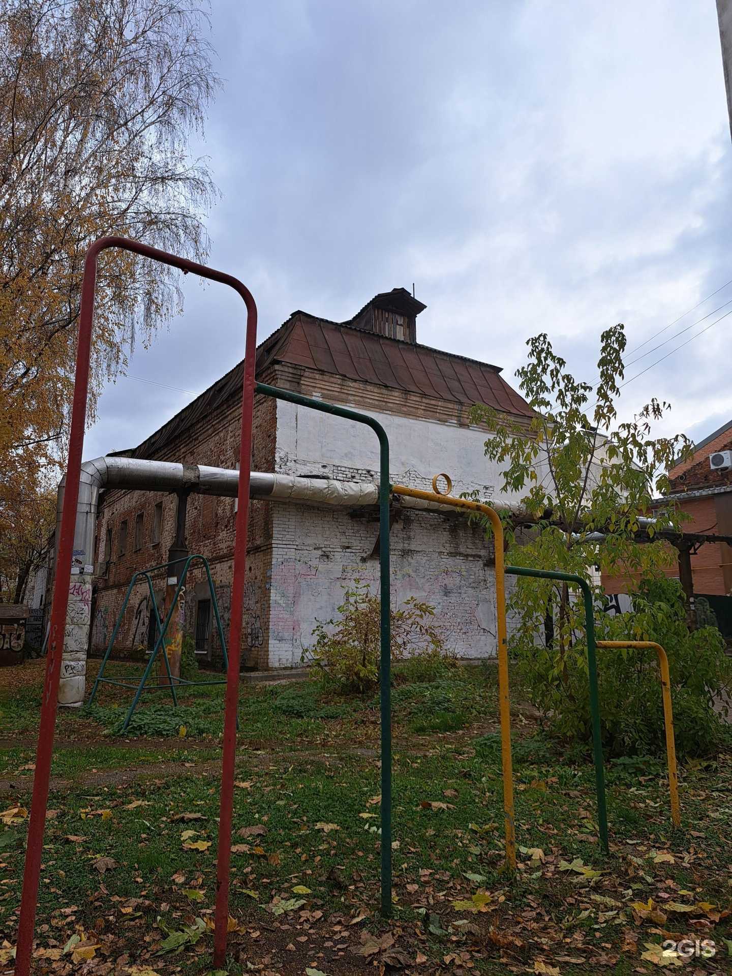 Отзывы на компанию Каникулы с Киви в Ярославле c фото