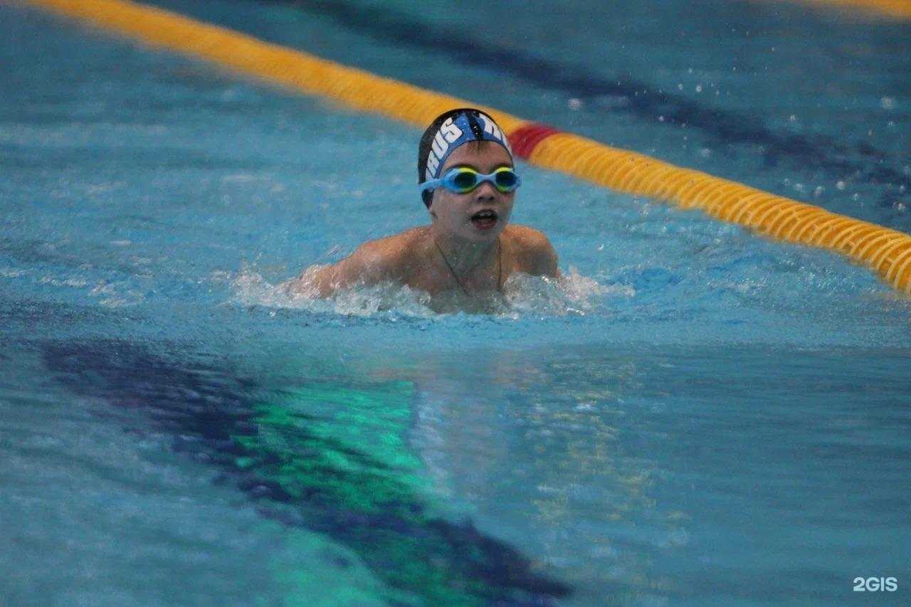 Отзывы на компанию Swimtoday в г. Новосибирск c фото