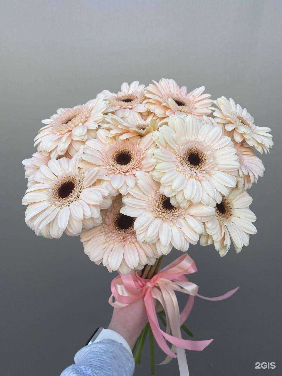 Отзывы на компанию Твой букет в Нижнем Новгороде c фото