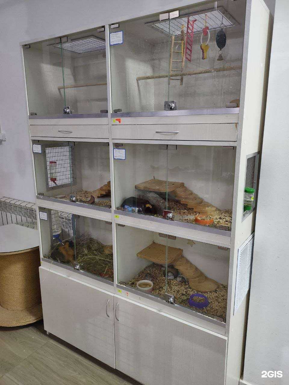 Отзывы на компанию Амазонка в г. Чебоксары c фото