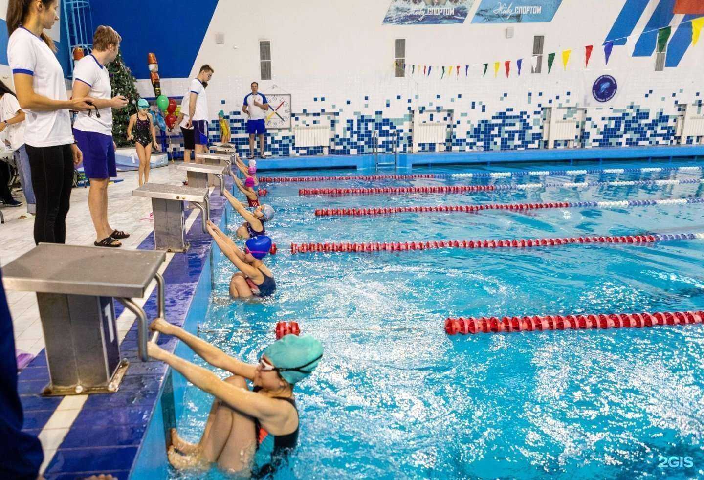 Отзывы на компанию Счастливый дельфин в Королёве c фото