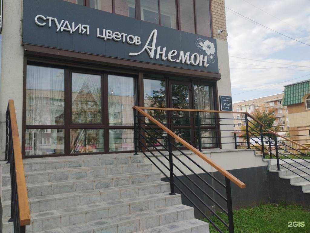 Отзывы на компанию Anemon в г. Невьянск c фото