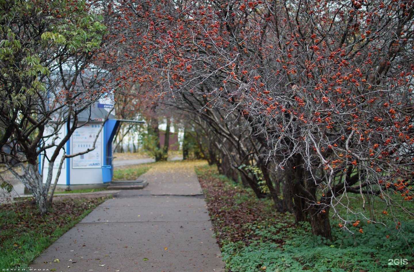 Отзывы на компанию Ключ здоровья в Кирове c фото
