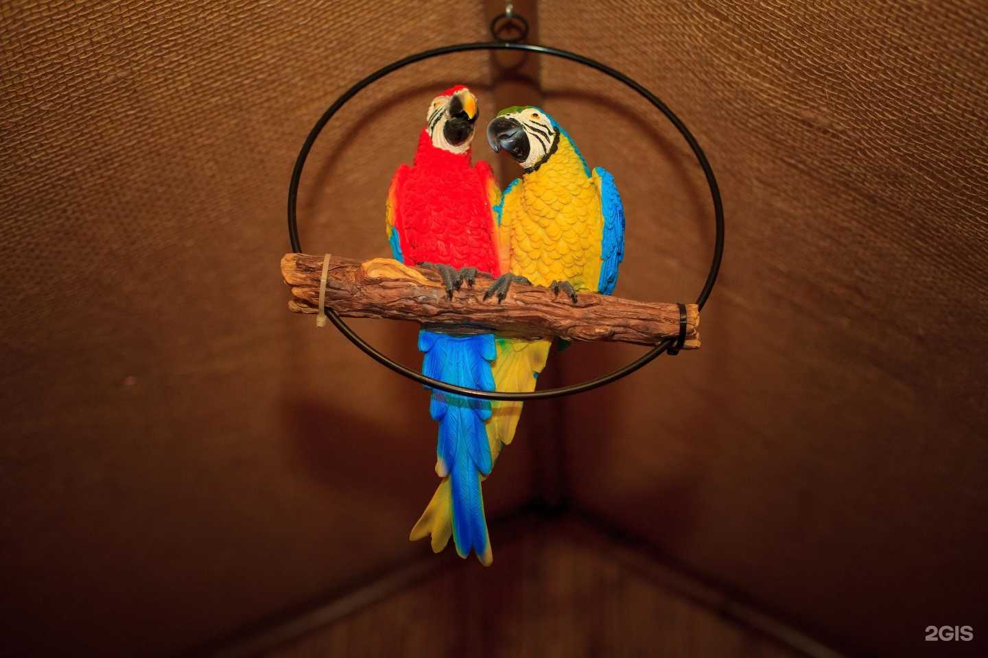 Отзывы на компанию Калуга в г. Калуга c фото