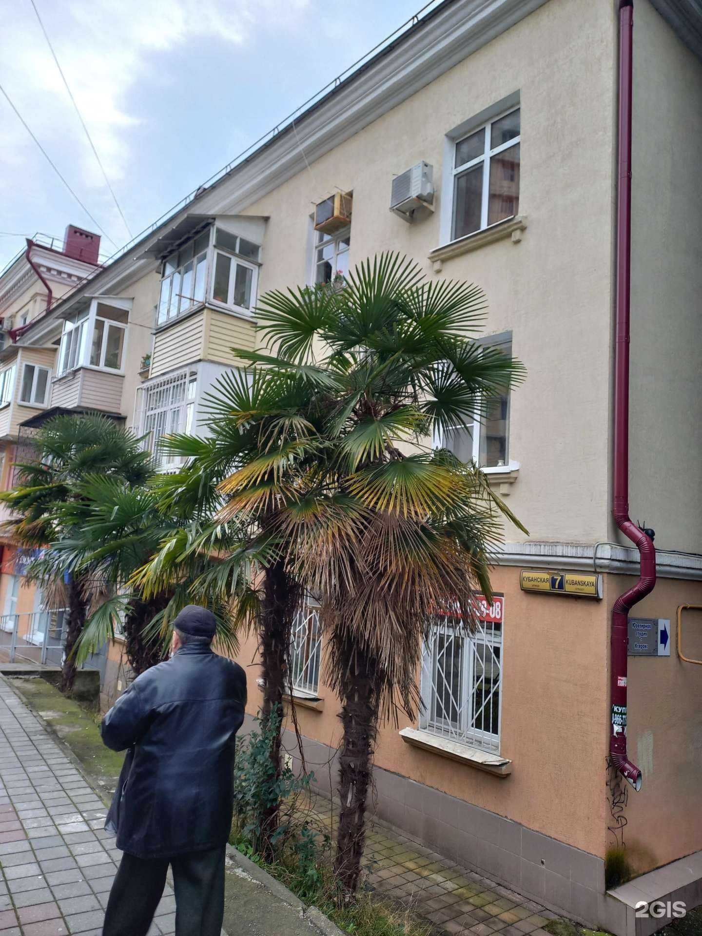 Отзывы на компанию Вита экспресс в Сочи c фото - фотография 2 из 2