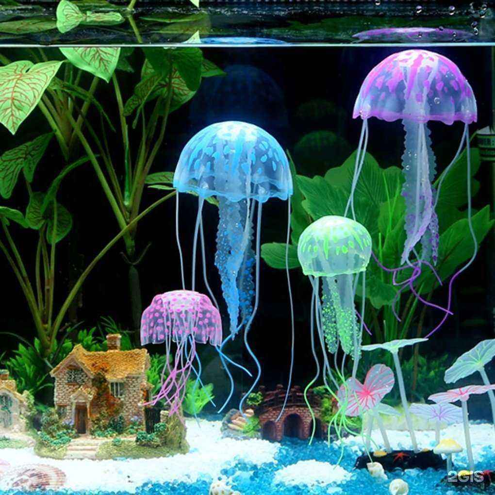 Отзывы на компанию ZooAkva в г. Волжский c фото