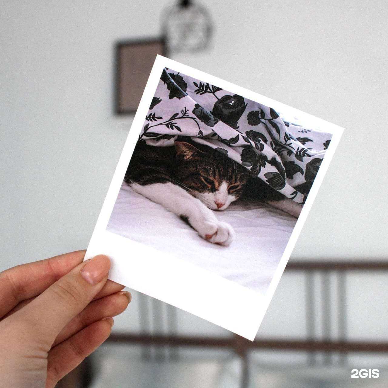 Отзывы на компанию FOTOMIX в Новосибирске c фото