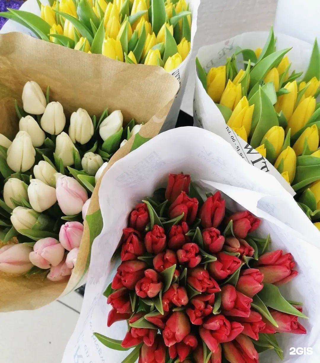 Отзывы на компанию Анна в г. Новокузнецк c фото